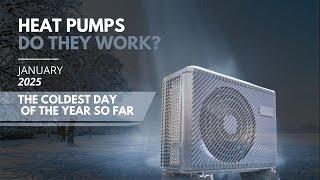 Heat Pumps Deliver SURPRISING Results In WINTER Months