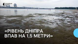 Мертва риба на березі: у Дніпрі знизився рівень води