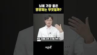 뇌에 가장 좋은 영양제는 무엇일까?