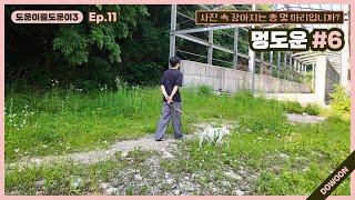 [Helping DOWOON3] Ep.11 DoggyDOWOON #6