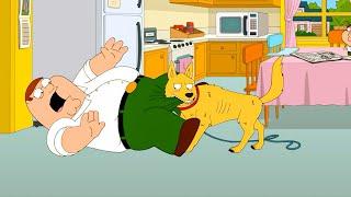 Family Guy Season 18 Episode 30 Full Episode NoZoom || Family Guy 2024 Full Episode NoCuts #1080p