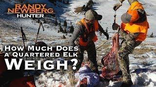 How Much Does a Quartered Elk Really Weigh?