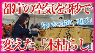 【神回】ショパン『木枯らしのエチュード 』あれから6年、原点の都庁ピアノで弾いてきました…【 ストリートピアノ / Chopin etude op.25-11 / WinterWind 】