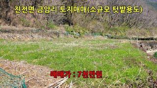 진전면 금암리 토지매매(소규모 텃밭용도)