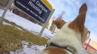 A campus that feels like home. | University of Northern Colorado