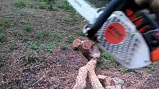 STIHL MS 150 TC - E