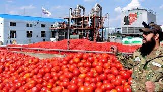 برای اولین بار درتاریخ افتتاح بزرگترین شرکت جهانی درافغانستان Afghan tomato paste production plant