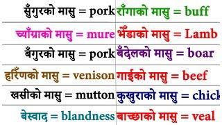 learn daily use common English word meaning in Nepali English to Nepali translation learn from basic