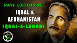 PAYF Exclusive | Iqbal and Afghanistan - Iqbal-e-Lahori