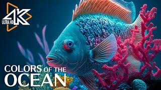 4K Underwater Wonders  Tropical Fish, Coral Reef, Jellyfish Aquarium - Stress And Anxiety Relief
