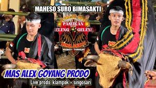 MAS ALEX GOYANG PRODO fans  HEBOH || MAHESO SURO BIMASAKTI || live prodo - singosari