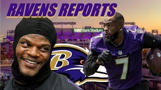 Baltimore Ravens Fans LOVE THIS...