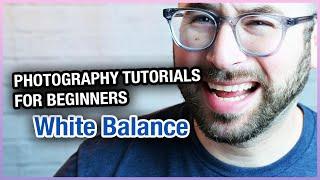 Photography Tutorials For Beginners  - White Balance