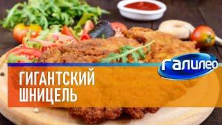 Галилео | Гигантский шницель