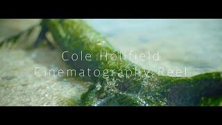 Cole Holifield- Cinematography Reel 2020- Suncoast Student Production/Emmy Award Winner