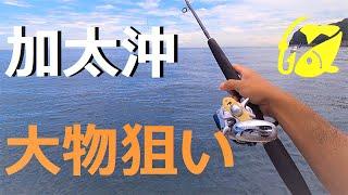 イワシをエサに狙え大物！いま落とし込み釣りがアツイ！【船釣り】三邦丸