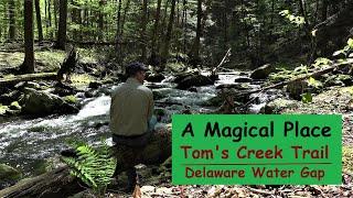 A Magical Place ~ Tom's Creek Trail, Delaware Water Gap