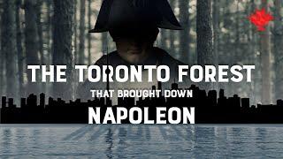 The Toronto Forest That Brought Down Napoleon