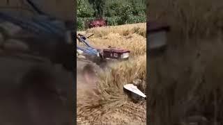 Rice (Crop Harvesting Machine) #shortviral  rice  harvester machine multipurpose machine