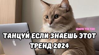 ТАНЦУЙ ЕСЛИ ЗНАЕШЬ ЭТОТ ТРЕНД 2024