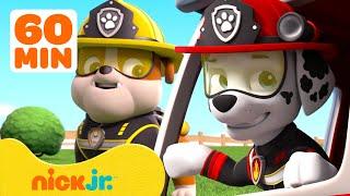 PAW Patrol NEW EPISODES Compilation! | 1 Hour |  Nick Jr.