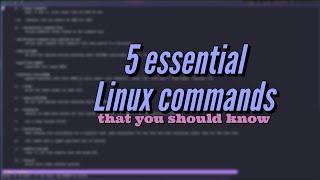 Five essential Linux commands for new users