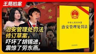 治安管理处罚法修订草案，吓坏了胡锡进，震惊了劳东燕。｜警察｜寻衅滋事｜口袋罪｜辱华｜治安管理处罚法｜胡锡进｜劳东燕｜極權政治｜服从性测试｜20230908王局拍案