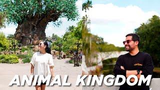 El Parque Más Barato de Disney | Guía Completa Animal Kingdom 2024