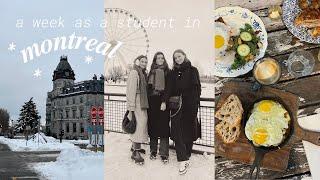 a week as an exchange student in montreal: discovering spots, brunch, get to know my friends, etc :)