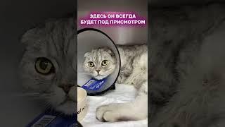 С любовью к питомцам️ #животные #милота #ветеринарныйврач #питомцы #помощь  #забота