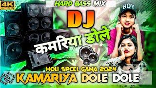 Kamariya Dole Dole Dj #neelkamal singh    Hard Bass Mix    Holi Spceal Gana 2024 DJ ALIM REMIX