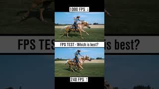 Amazing Slow Motion Horse Racing