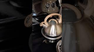 Poliviar Tea Kettle