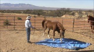 From the Archives - Flag & Tarp Homework for Trailer Loading