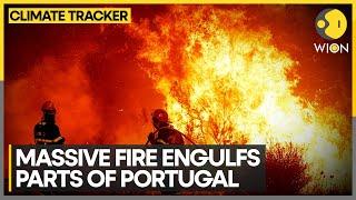 Portugal: Thousands of firefighters battle 'raging' wildfires | WION Climate Tracker