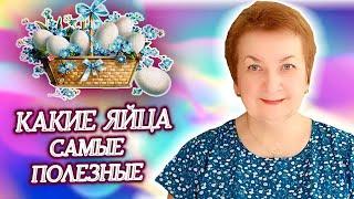 Какие яйца самые полезные? Отвечает врач