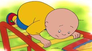 Caillou | Caillou's Friend Play at the Park | Videos For Kids | WildBrain Cartoons