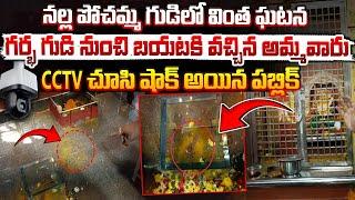 నల్ల పోచమ్మ గుడిలో వింత ఘటన | Nalla Pochama Temple | Red Tv