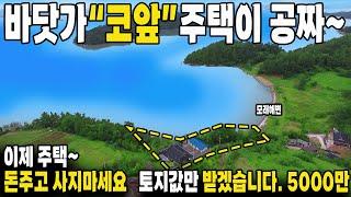 [속보] 바다 코앞! 명장이 건축한 주택이 몽땅~ 공짜입니다! 바닷가 A급 빈집~ 전원생활 추천~ 바다 전망~ 초헐값~ 땅값만 받겠습니다.