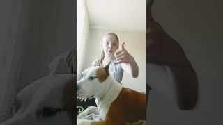 с Рэйчиком #ялюблюсобак #собака