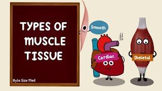 Types of Muscle Tissue | Skeletal Smooth Cardiac Muscle | Differences | Nerve Muscle Physiology