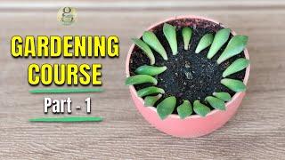 COMPLETE GARDENING COURSE – PART 1 | GARDENING FOR BEGINNERS | LEARN GARDENING