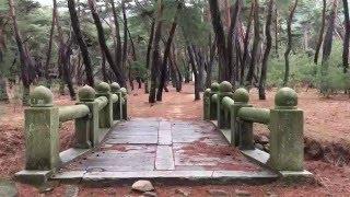 Samneung Forest, Gyeongju