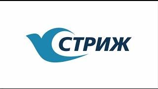 Информационный видеоролик о поезде "Стриж" ФПК (Тальго)