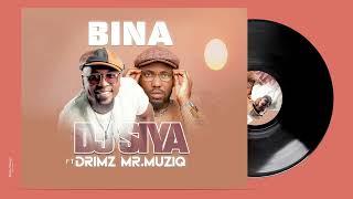 Djsiya ft Drimz Mr. Muziq - Bina (Official  Audio)