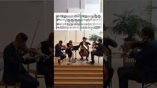 You WON'T BELIEVE This Haydn's Frog Quartet Performance! | MUST WATCH 2023