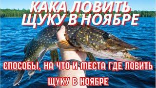 Как ловить щуку в ноябре. Способы, на что и места где ловить щуку в ноябре.