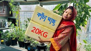 দেশ থেকে UKতে 20KG কাঁচা মাছ নিয়ে এসে স্বাদ ঘ্রাণ অটুট রেখে সারা বছর খাওয়ার উপায়