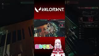 3段階活用 #valorant #shorts #新人vtuber #新人vtuberさんと繋がりたい #新人vtuberだって拡散されたい #新人vtuberを発掘したい