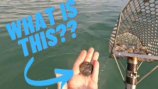 A short evening water hunt yields a very mysterious find!